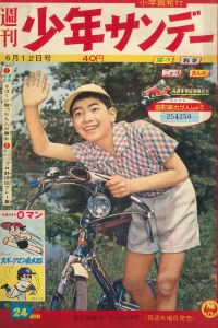 No. 24, 1960