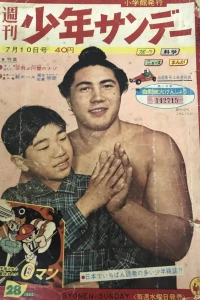 No. 28, 1960