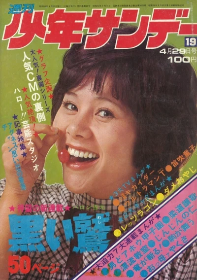 Cover of No. 19, 1973