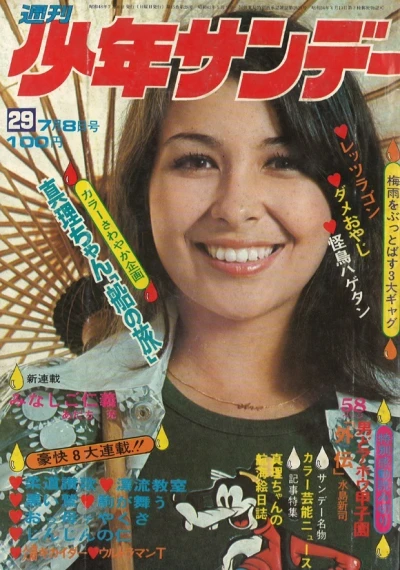 Cover of No. 29, 1973