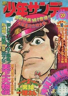 Cover of No. 29, 1975