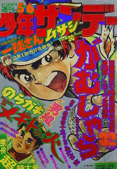 Cover of No. 5-6, 1976