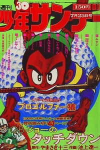 No. 30, 1976
