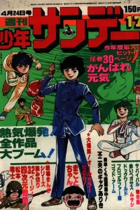 No. 17, 1977