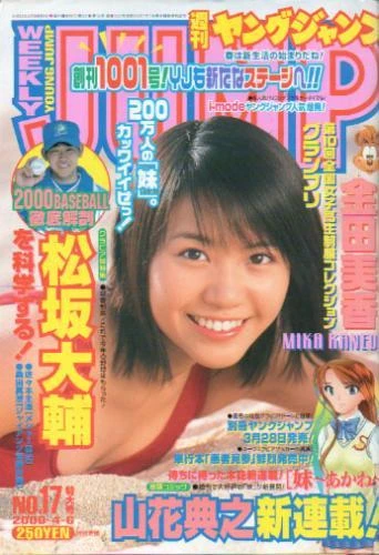 Cover of No. 17, 2000