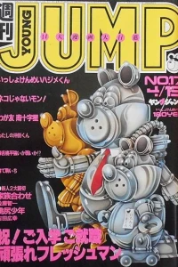 No. 17, 1982