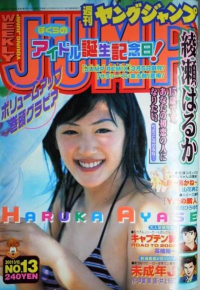 Cover of No. 13, 2001
