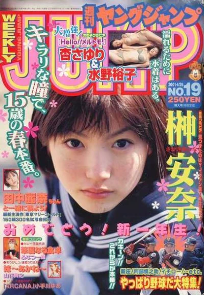 Cover of No. 19, 2001