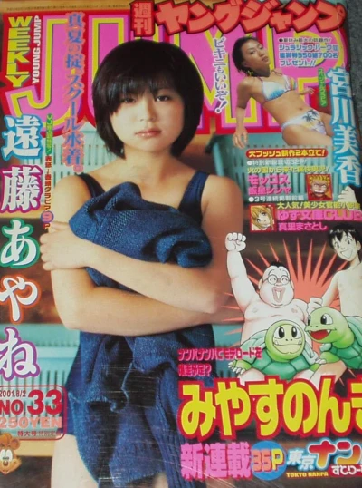 Cover of No. 33, 2001