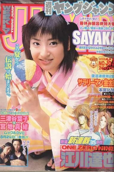 Cover of No. 36-37, 2001