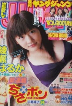 Cover of No. 48, 2001