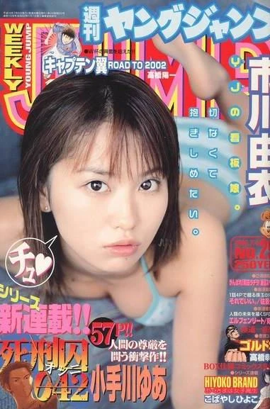 Cover of No. 29, 2002