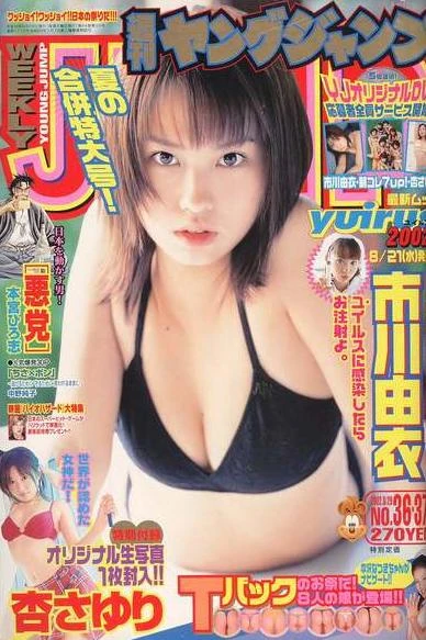 Cover of No. 36-37, 2002