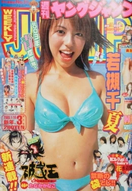 Cover of No. 3, 2003