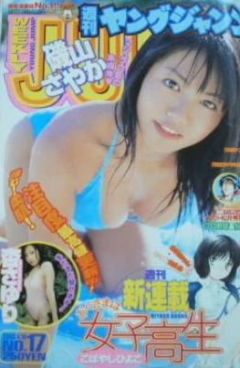 Cover of No. 17, 2003