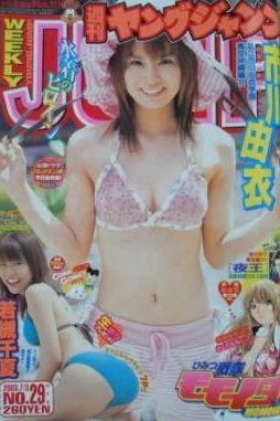 Cover of No. 29, 2003