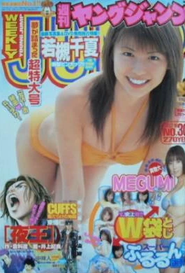 Cover of No. 30, 2003