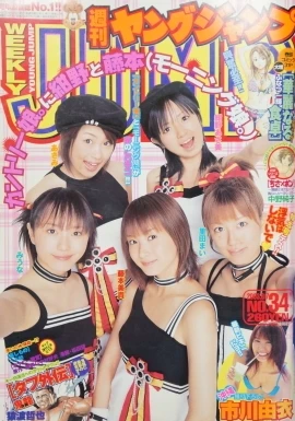 Cover of No. 34, 2003