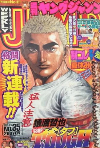 Cover of No. 35, 2003