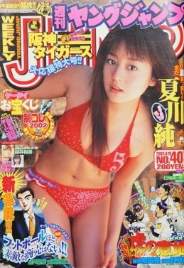 Cover of No. 40, 2003