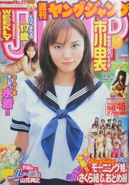 Cover of No. 49, 2003