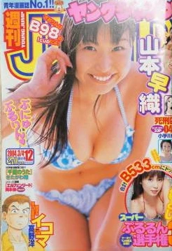 Cover of No. 12, 2004