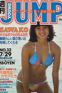 No. 32, 1982