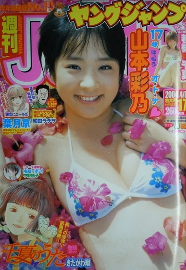 Cover of No. 17, 2004