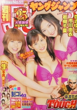 Cover of No. 21-22, 2004