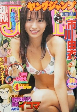 Cover of No. 31, 2004