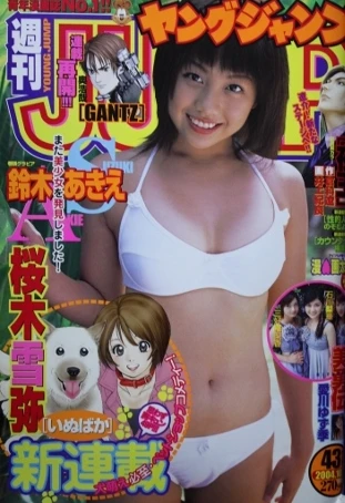 Cover of No. 43, 2004