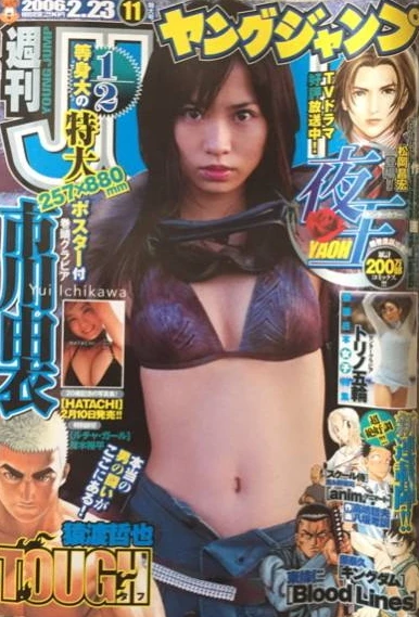 Cover of No. 11, 2006