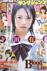 Cover of No. 13, 2006