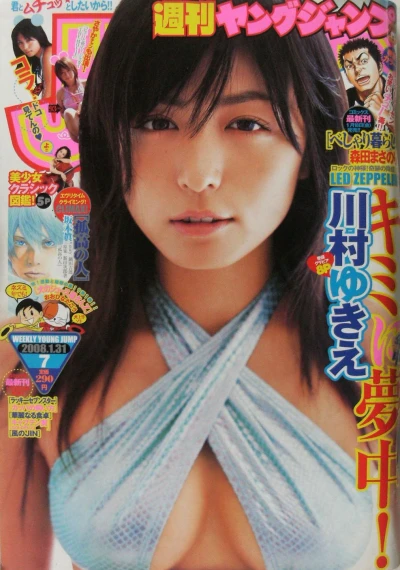 Cover of No. 7, 2008