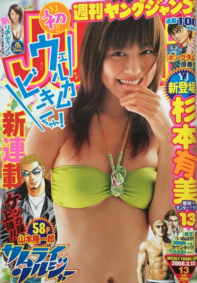 Cover of No. 13, 2008
