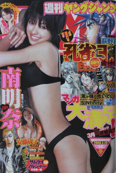 Cover of No. 14, 2008