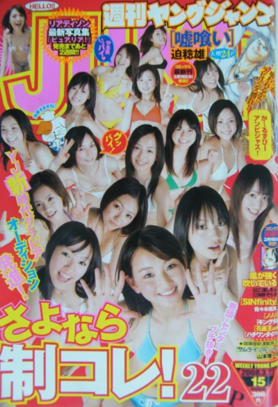 Cover of No. 15, 2008