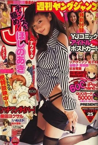 Cover of No. 25, 2008