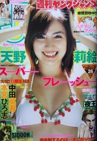 Cover of No. 26, 2008