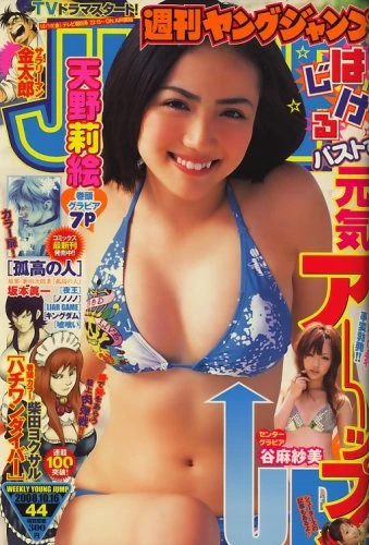 Cover of No. 44, 2008