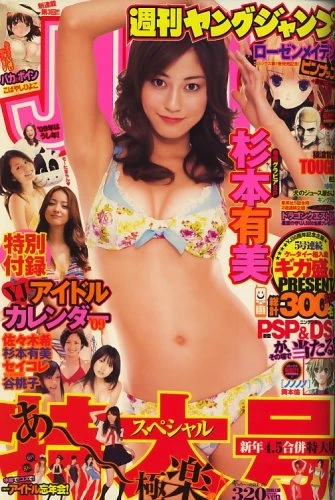 Cover of No. 4-5, 2009