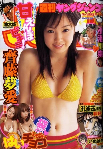Cover of No. 11, 2009