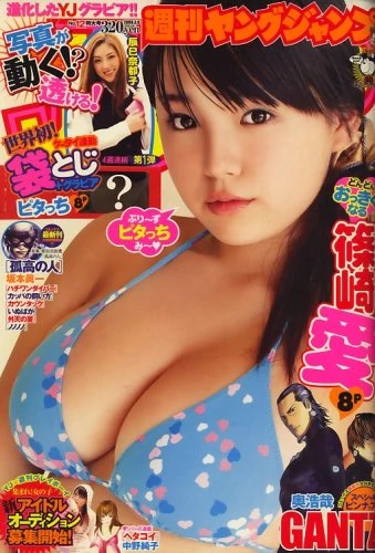 Cover of No. 12, 2009