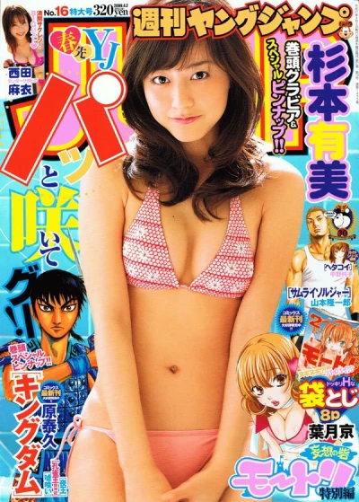 Cover of No. 16, 2009