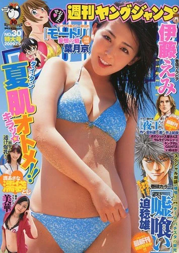 Cover of No. 30, 2009