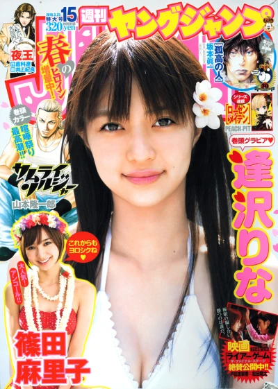 Cover of No. 15, 2010