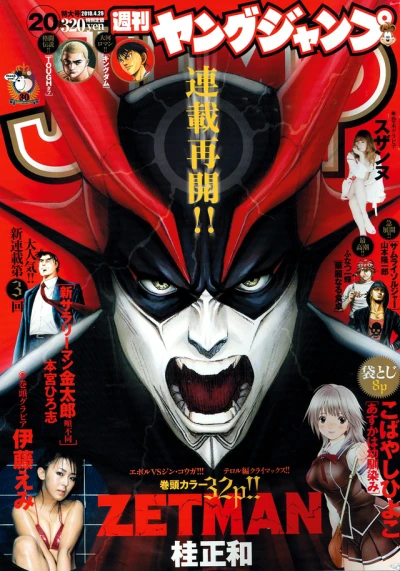 Cover of No. 20, 2010