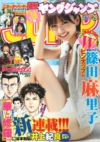 Cover of No. 29, 2010