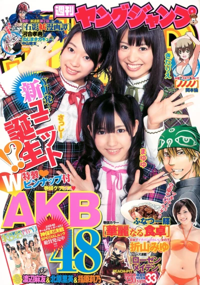 Cover of No. 33, 2010