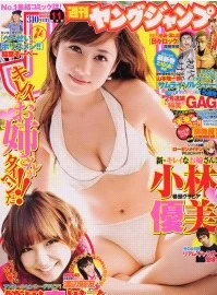 Cover of No. 11, 2011